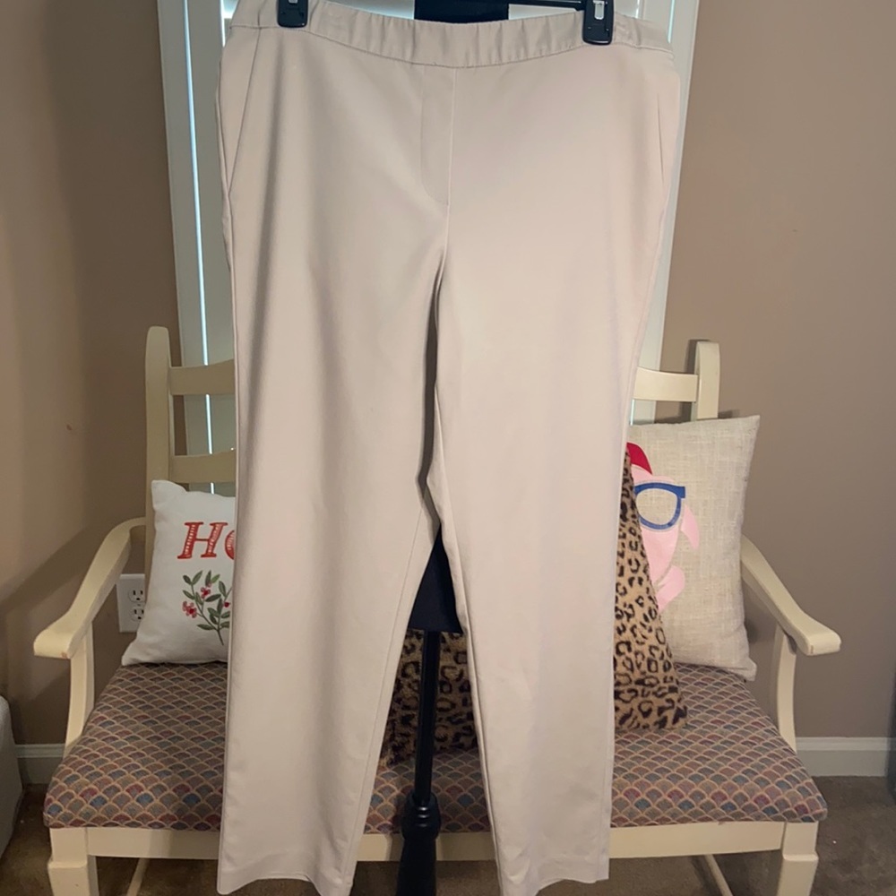 J.Jill Stone Pants with Stretch Waistband